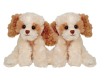 peluche chien 